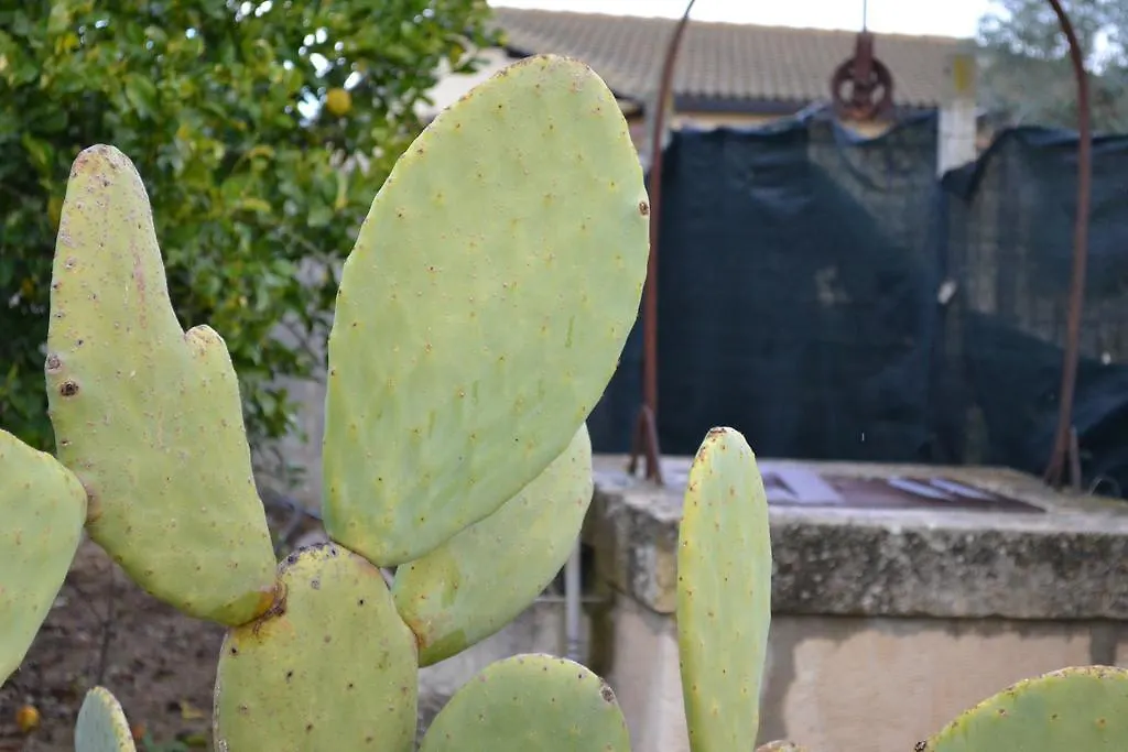 Villa Adriana B&B Comiso 0*,