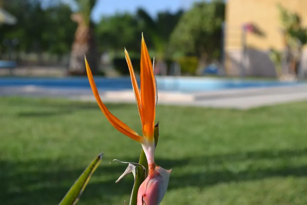 Bed & Breakfast Villa Adriana B&B Comiso